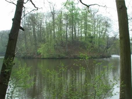 Tüschenbroich : Tüschenbroicher Weiher mit Motte